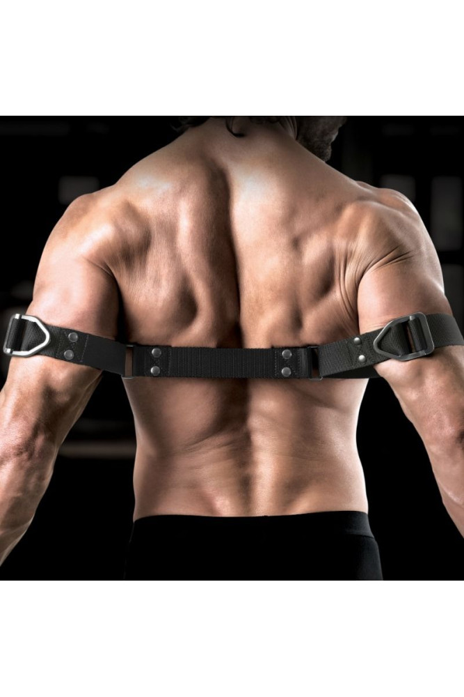 SIR RICHARDS - COMANDO BENDER BICIPI