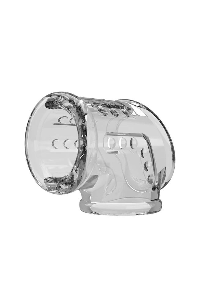 PRETTY LOVE - GUAINA PER PENE CORTA E TRASPARENTE