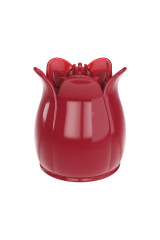 PRETTY LOVE - SECRET GARDEN TESTA DA MASSAGGIO ROSA