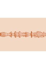 FLESHLIGHT GIRLS - MIA MALKOVA HEADSHOT BOCCA