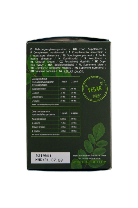 HOT - MORINGA MEN CAPS UOMO 60 UNITÀ