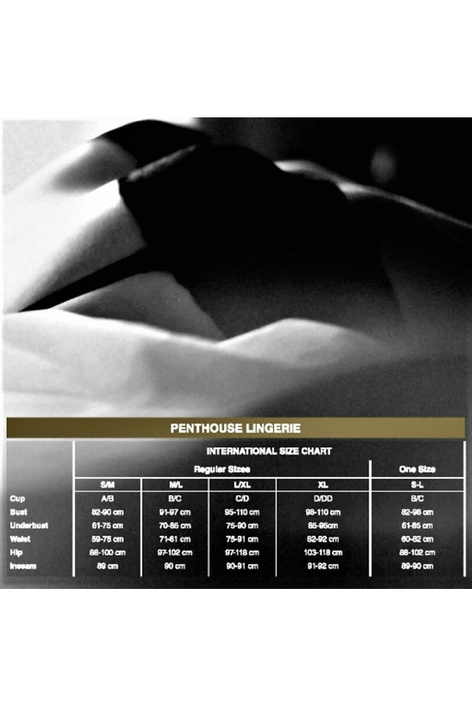 PENTHOUSE - MIDNIGHT VISIT TEDDY S/M/L