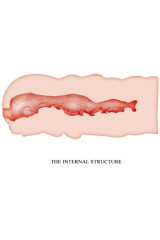 CRAZY BULL - MASTURBATORE ISABEL VAGINA 13.5 CM