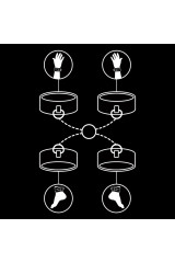 FETISH SUBMISSIVE - SET DI MANETTE PER MANI E CAVIGLIE CON FODERA IN NOPRENE