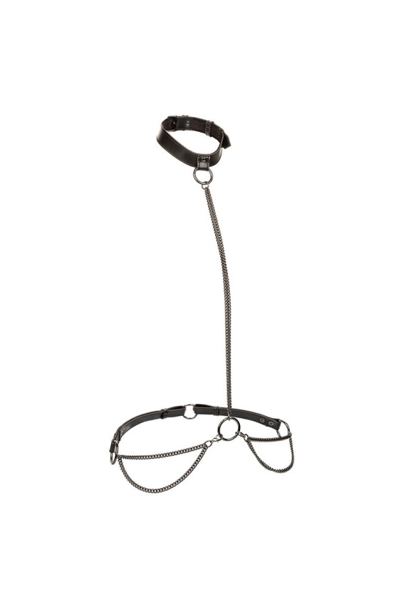 CALEXOTICS - EUPHORIA COLLARE A CATENA E GUINZAGLIO TAGLIA PIÙ GRANDE