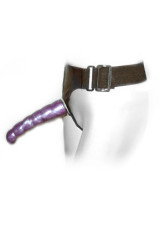 BAILE - PETTORINA ANALE E VAGINALE FEMMINILE LILLA PUNTO G 17 CM