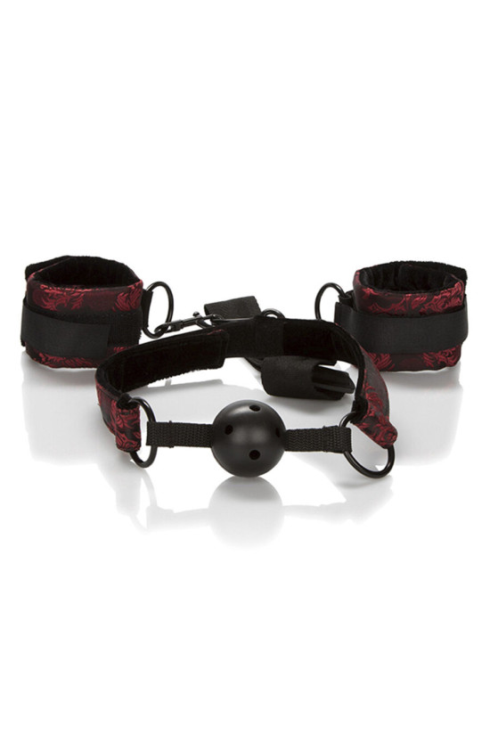 CALEXOTICS - SCANDAL BALL GAG TRASPIRANTE CON MANETTE