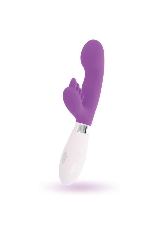 GLOSSY - CONIGLIO ELVIS VIOLA