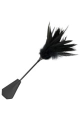 DARKNESS - FRUSTA DI PIUME NERE